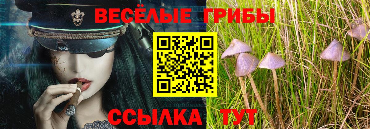 Костомукша  Псилоцибиновые грибы мухоморы  Вход с VPN 