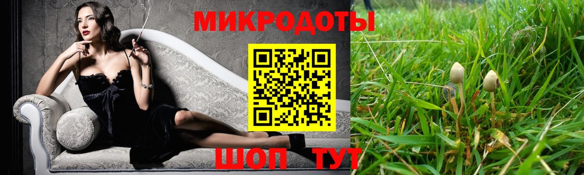 Псилоцибиновые грибы Cubensis Костомукша
